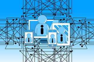 NBA联盟裁判执法技术辅助研究，nba职业篮球裁判证