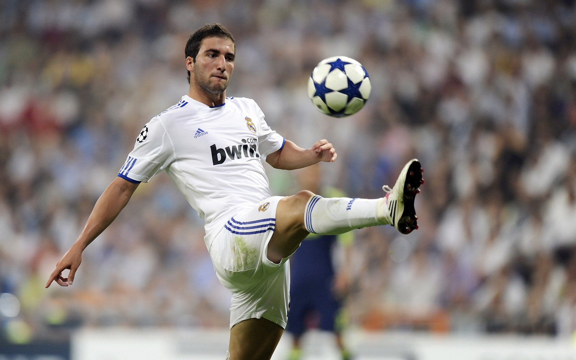 “南非羚羊队的防线支柱：埃尔斯·霍斯特的不可替代性”